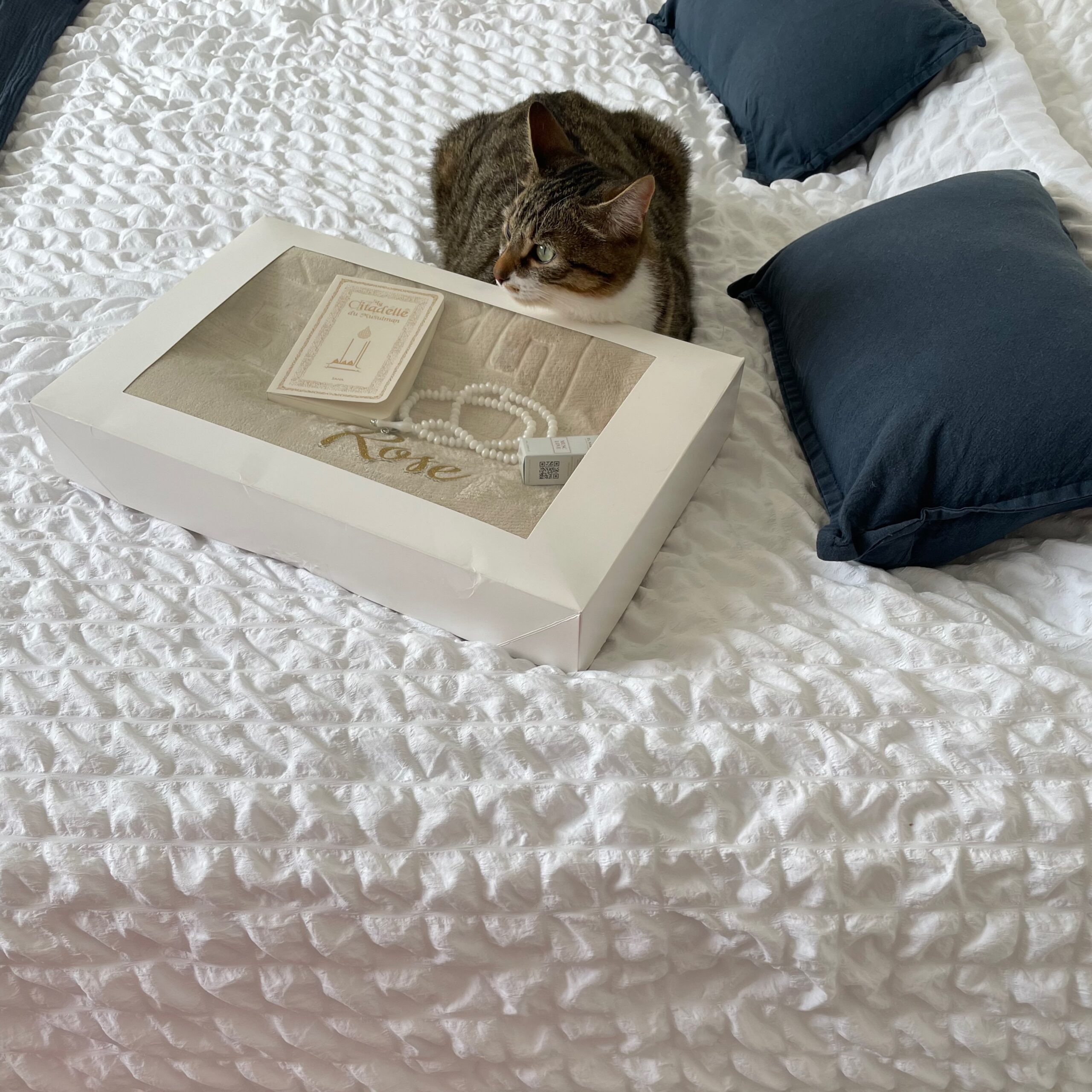 Coffret Hadia – Image 4